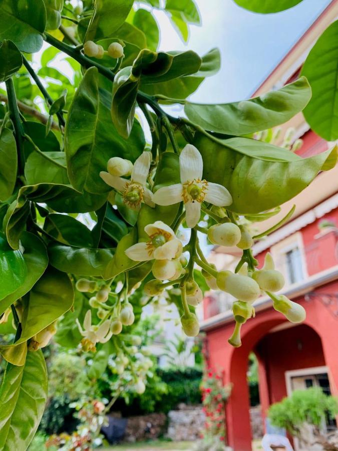 法布里克博比住宿加早餐旅馆 芒通 外观 照片